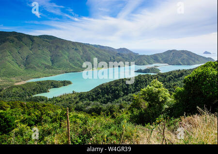 Blick über die Marlborough Sounds, Südinsel, Neuseeland Stockfoto