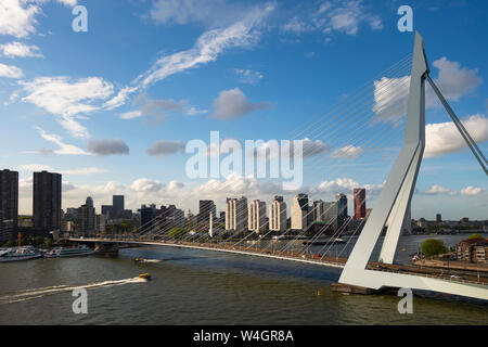 Erasmusbrücke, Rotterdam, Niederlande Stockfoto