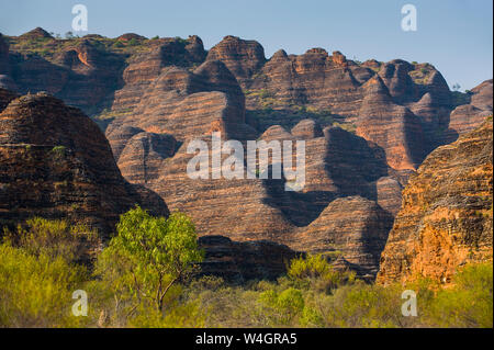 Bungle Bungles Nationalpark, Western Australia, Australien Stockfoto