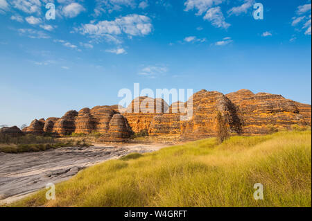 Bungle Bungles Nationalpark, Western Australia, Australien Stockfoto