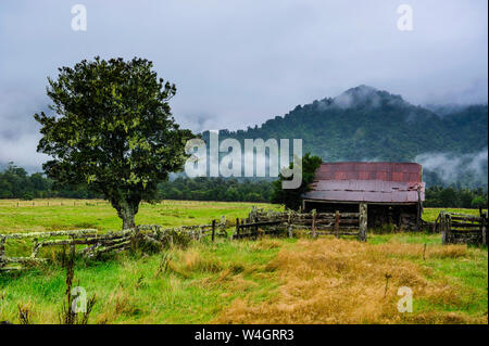 Alten Bauernhof in eine stimmungsvolle Atmosphäre, Westküste um Haast, Südinsel, Neuseeland Stockfoto