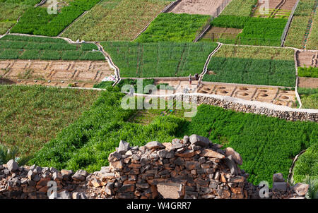 Oman, Ad-Dakhiliyah Governatorat, Riwaygh als Safil, Felder Stockfoto