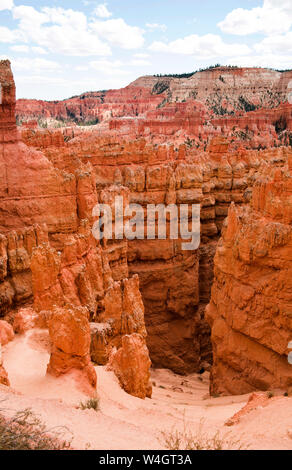 Pfad, der sich zwischen der Säule - wie Felsformationen, die als Hoodoos im Bryce Canyon im Herbst, Utah, USA geht Stockfoto