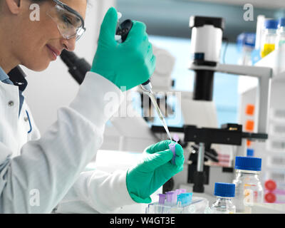 Die biotechnologische Forschung, Wissenschaftler pipettieren Probe in einer Durchstechflasche bereit für die Analyse bei einem Experiment im Labor Stockfoto