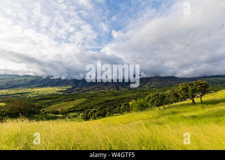 Blick von Piilani Highway Haleakala Vulkan, Maui, Hawaii, USA Stockfoto