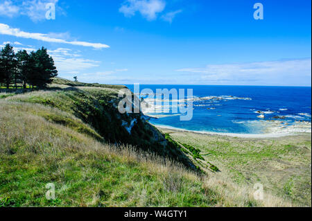 Blick von der Klippe über der Kaikoura Halbinsel, Südinsel, Neuseeland Stockfoto