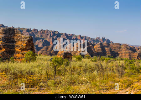 Bungle Bungles Nationalpark, Western Australia, Australien Stockfoto