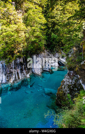 Die beeindruckenden blauen Pools, Haast Pass, Südinsel, Neuseeland Stockfoto