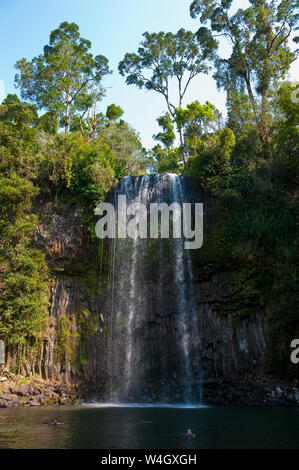 Millaa Millaa Falls, Atherton Tablelands, Queensland, Australien Stockfoto