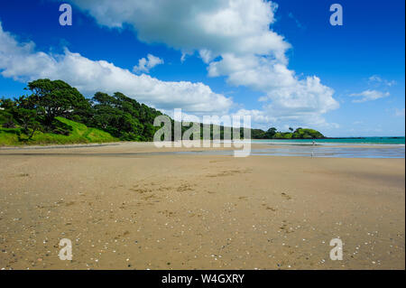 Langen Sandstrand in Paihia, Bucht der Inseln, North Island, Neuseeland Stockfoto