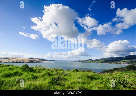 Ansicht des Arai-Te-Uru Erholung finden südlichen Ende von Hokianga Harbour, Westcoast Northland, North Island, Neuseeland Stockfoto