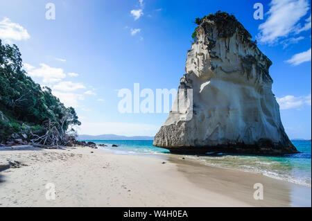 Riesige Felsen auf dem Sandstrand von Cathedral Cove, Coromandel, North Island, Neuseeland Stockfoto