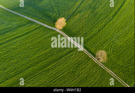 Luftaufnahme über Wiese mit Dirt Track und Bäume, Holzhausen, Bayern, Deutschland Stockfoto