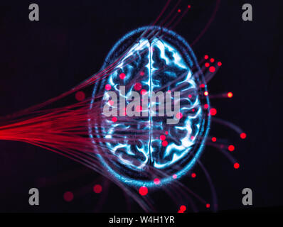 Neurowissenschaften, Fiber Optics, die Daten um das Gehirn Stockfoto