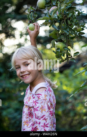 Portrait von lachenden Mädchen Kommissionierung Apfel vom Baum Stockfoto