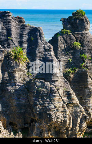 Pancake Rocks, Paparoa Nationalpark, Südinsel, Neuseeland Stockfoto