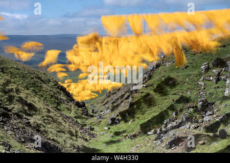 Ballen Hush, Teesdale, County Durham, UK. 23. Juli 2019. UK Wetter. Nach einem heißen Start in den Tag eine starke Brise, die Struktur der "Hush" eines der größten Kunstwerke in Großbritannien im Wind zu Bülow verursacht. Dieses einzigartige 370 m lange temporäre Installation, die von der Umwelt Künstler Steve Messam erstellt wurde und wurde von der North Pennines AONB Partnership in Auftrag gegeben. Quelle: David Forster/Alamy leben Nachrichten Stockfoto