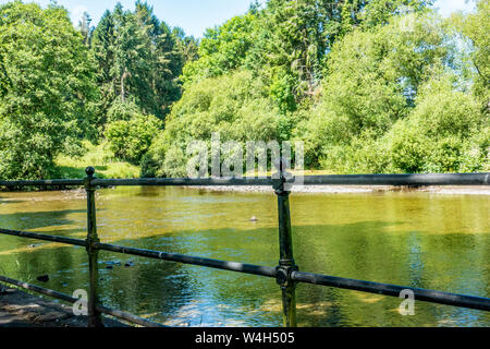 Ein Blick über den Oberlauf des Flusses Severn in der öffentlichen Park von Llanidloes, Mid Wales, Großbritannien Stockfoto