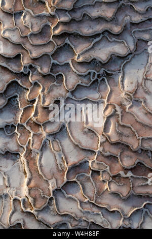 Türkei: Details der Travertin Terrassen von Pamukkale (Baumwolle), natürlichen Standort Sedimentgestein durch Wasser aus den heißen Quellen hinterlegt Stockfoto