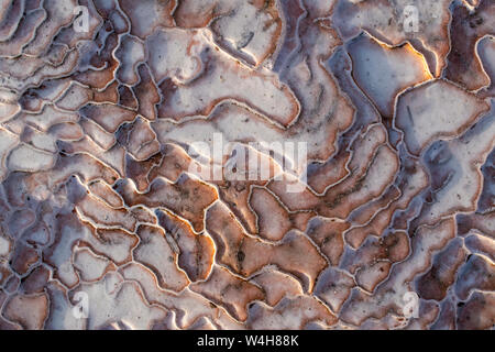 Türkei: Details der Travertin Terrassen von Pamukkale (Baumwolle), natürlichen Standort Sedimentgestein durch Wasser aus den heißen Quellen hinterlegt Stockfoto