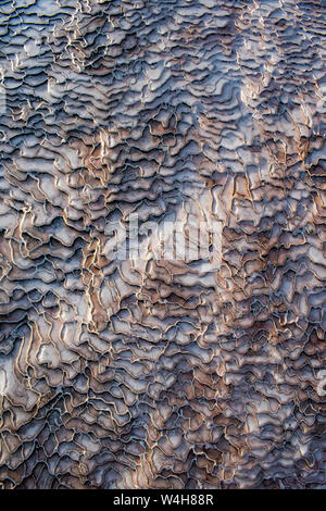 Türkei: Details der Travertin Terrassen von Pamukkale (Baumwolle), natürlichen Standort Sedimentgestein durch Wasser aus den heißen Quellen hinterlegt Stockfoto