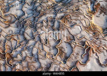 Türkei: Details der Travertin Terrassen von Pamukkale (Baumwolle), natürlichen Standort Sedimentgestein durch Wasser aus den heißen Quellen hinterlegt Stockfoto