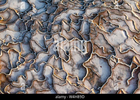 Türkei: Details der Travertin Terrassen von Pamukkale (Baumwolle), natürlichen Standort Sedimentgestein durch Wasser aus den heißen Quellen hinterlegt Stockfoto