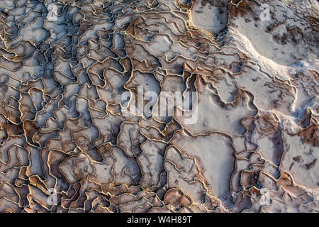 Türkei: Details der Travertin Terrassen von Pamukkale (Baumwolle), natürlichen Standort Sedimentgestein durch Wasser aus den heißen Quellen hinterlegt Stockfoto