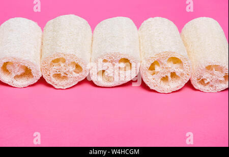 Auf einem rosa Hintergrund Loofah. Organic Natural Schwamm. Null Abfall, Umweltschutz Stockfoto