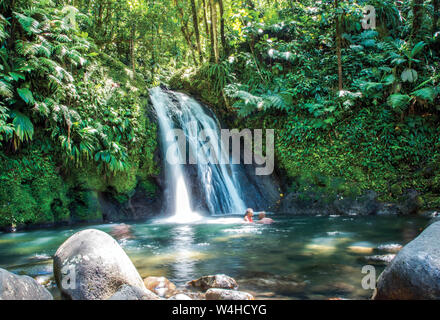 Cascade aux Ecrevisses, Guadeloupe Französische Antillen, Karibik Stockfoto