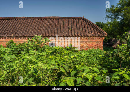 01-Sep-2008 - Tondachziegel & brickwall Bauern Haus im Dorf in der Nähe von chhapaiya Uttar Pradesh Indien Asien Stockfoto
