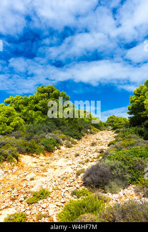 Griechenland, Zakynthos, Wanderweg zwischen grünen Pinien und Steine Stockfoto