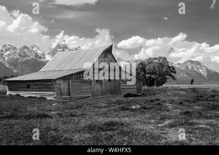 Iconic T ein moulton Scheune auf Mormon Zeile im Grand Teton National Park Jackson, Wyoming USA in Schwarz und Weiß Stockfoto