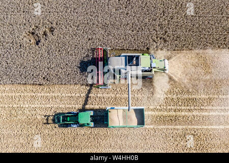 Feldkirchen, Deutschland. 23. Juli, 2019. Reifen Weizen ist auf ein Feld mit einem Mähdrescher geerntet (oben). Die Getreideernte in Bayern ist derzeit in vollem Gange (Luftbild mit Drone). Foto: Armin Weigel/dpa/Alamy leben Nachrichten Stockfoto