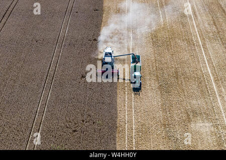 Feldkirchen, Deutschland. 23. Juli, 2019. Reifen Weizen ist auf ein Feld mit einem Mähdrescher geerntet (l). Die Getreideernte in Bayern ist derzeit in vollem Gange (Luftbild mit Drone). Foto: Armin Weigel/dpa/Alamy leben Nachrichten Stockfoto