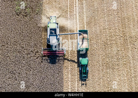 Feldkirchen, Deutschland. 23. Juli, 2019. Reifen Weizen ist auf ein Feld mit einem Mähdrescher geerntet (l). Die Getreideernte in Bayern ist derzeit in vollem Gange (Luftbild mit Drone). Foto: Armin Weigel/dpa/Alamy leben Nachrichten Stockfoto