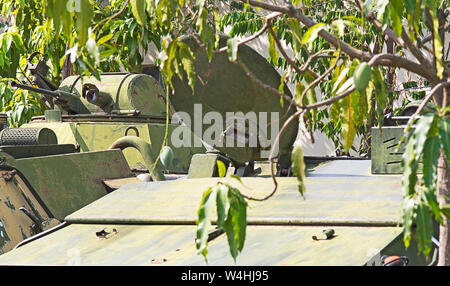 Phnom Phen, Kambodscha - April 25, 2014: Dschungel Landschaft mit einem alten Tank warfare in Kambodscha gesehen Stockfoto