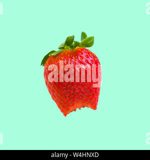 Reife Saftige Erdbeeren. Isolierte Bild auf grünem Hintergrund. Stockfoto