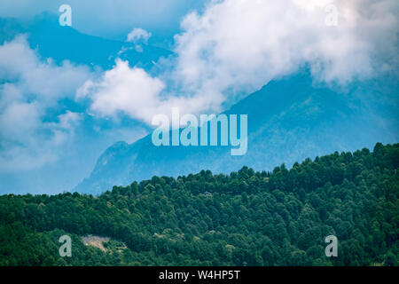 Hohe Berge mit bewaldeten Hängen und Gipfeln in den Wolken versteckt. Starker Nebel in den Bergen an einem bewölkten Tag. Stockfoto