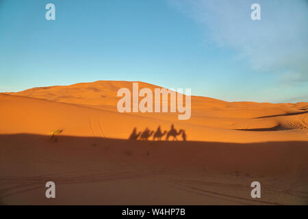 Schatten einer Kamelkarawane Personen Transport auf einer Sanddüne in der Wüste bei Sonnenuntergang in Marokko Afrika Stockfoto
