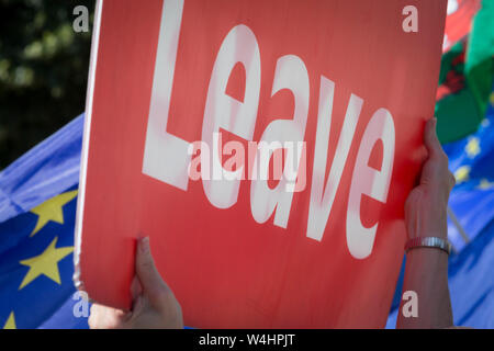 An dem Tag, an dem die Konservative Partei wählt seinen Führer und Premierminister des Landes, Boris Johnson, Brexiteers zeigen ihre Unterstützung auf College Green nach dem Ergebnis, am 23. Juli 2019, in Westminster, London, England. Stockfoto