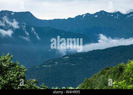 Hohe Berge mit bewaldeten Hängen und Gipfeln in den Wolken versteckt. Starker Nebel in den Bergen an einem bewölkten Tag. Stockfoto