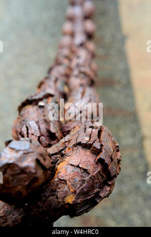 Schwere verwittert und verrostete Kette auf der Ocean Front At The Presidio in der Nähe der Golden Gate Bridge in San Francisco, Kalifornien; Begriff der Resilienz. Stockfoto