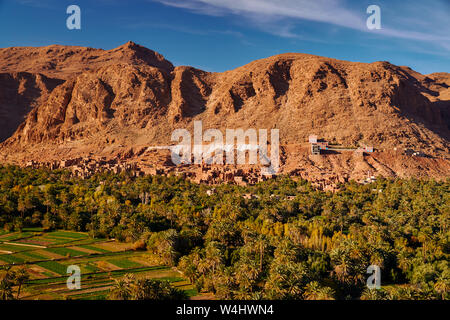 Weite Einstellung auf Ruinen einer alten Wüste Stadt mit großen Oase und Berg im Hintergrund Marokko Afrika Stockfoto