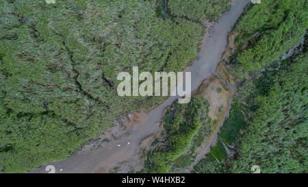 Creek, Wattenmeer und Sumpfland in der Mündung des Flusses im Süden Englands. Drone Schuß Stockfoto