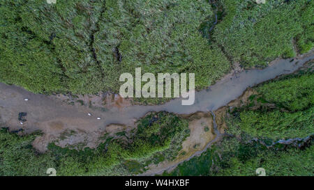 Creek, Wattenmeer und Sumpfland in der Mündung des Flusses im Süden Englands. Drone Schuß Stockfoto