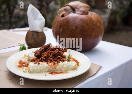 Papadzules, ein traditionelles Gericht aus Maya Halbinsel Yucatan Stockfoto