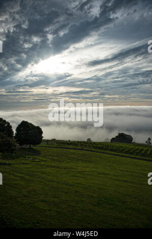 UNITED STATES - Juni 20, 2019: Schwerer Bodennebel senkt sich über die Loudoun Valley bei Sun. (Foto von Douglas Graham/WLP) Stockfoto