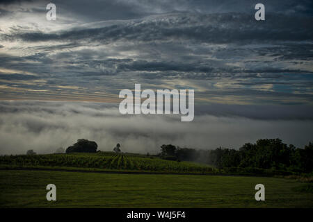 UNITED STATES - Juni 20, 2019: Schwerer Bodennebel senkt sich über die Loudoun Valley bei Sun. (Foto von Douglas Graham/WLP) Stockfoto