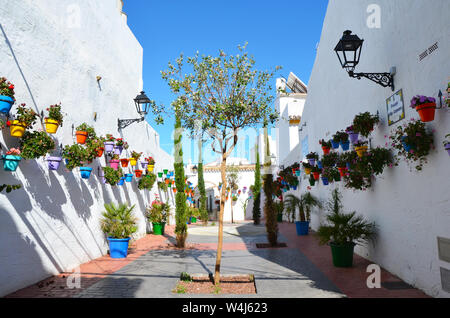 Bunte Töpfe in Pasaje Felipe Campuzano, Estepona, Spanien Stockfoto